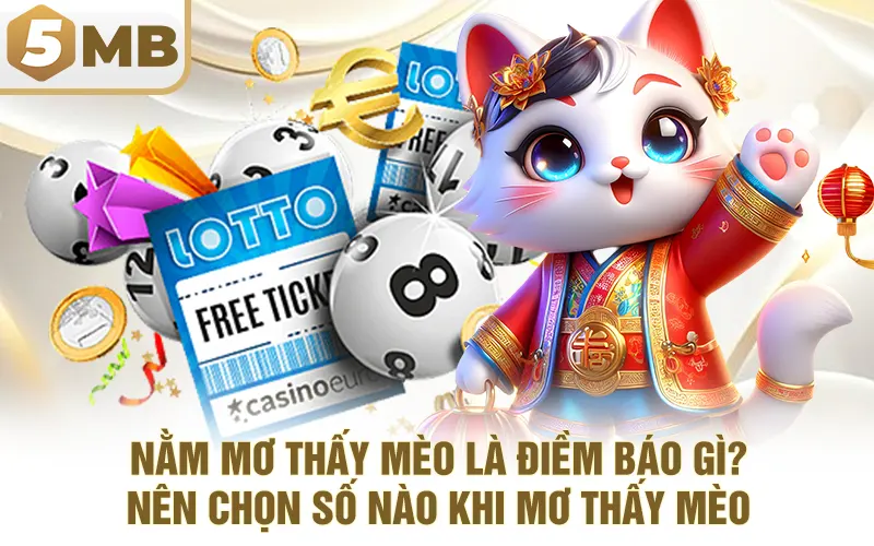 Nằm Mơ Thấy Mèo Là Điềm Báo Gì? Nên Chọn Số Nào Khi Mơ Thấy Mèo